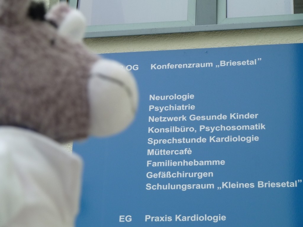 Puppenklinik Dr.Grauohr sucht, wohin er muss