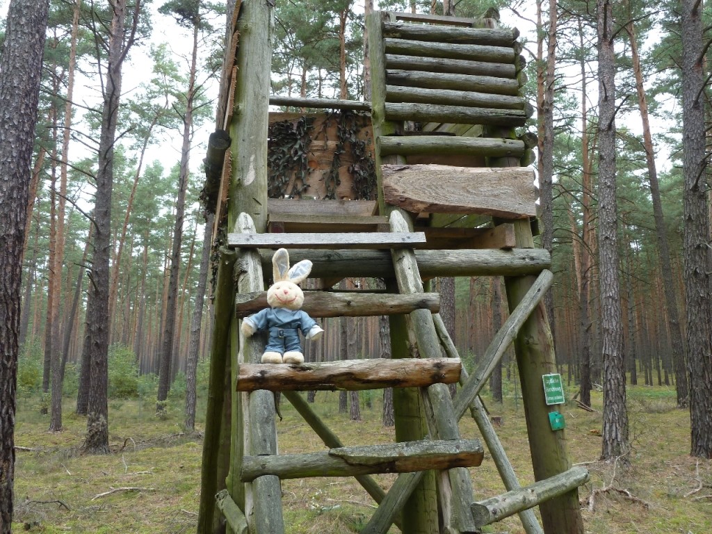 Spreewald Hochstand