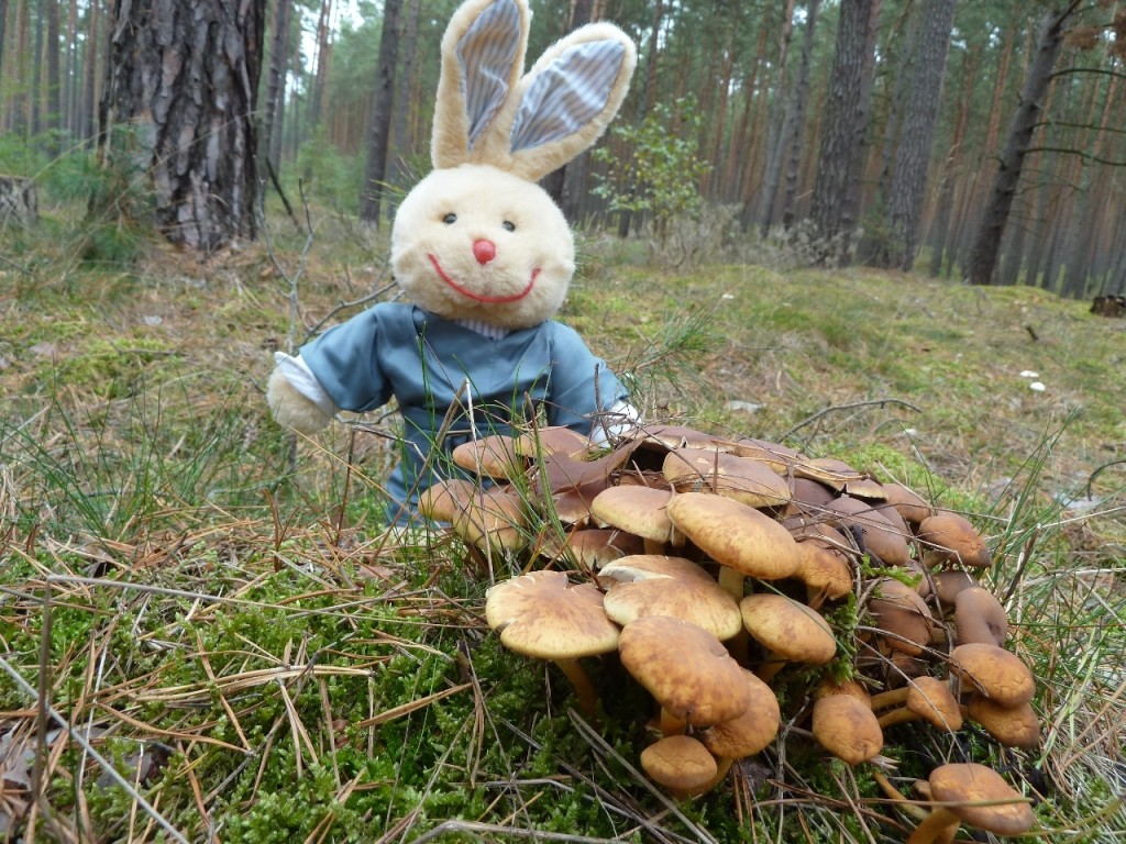 Spreewald Na, die haben aber gehorcht