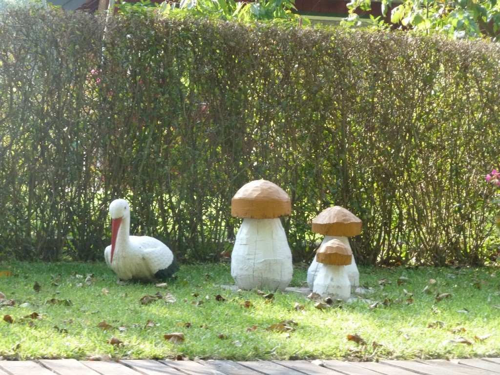 Spreewald. Darauf fallen wir nicht rein