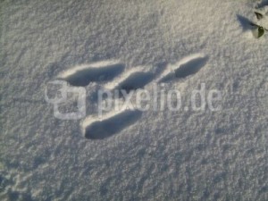 1.2.14 Spuren im Schnee