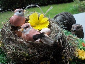 28.3.14 Nest gefüllt